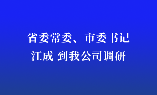 省委常委、市委书记江成到我公司调研